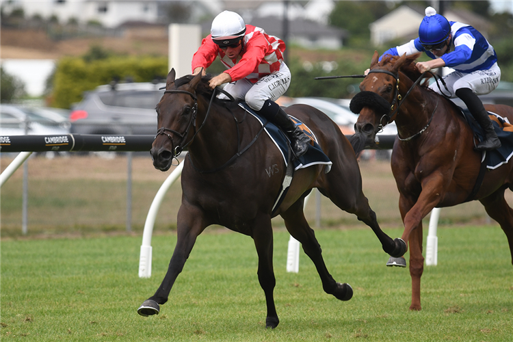 ORCHESTRAL winning the EAGLE TECHNOLOGY AVONDALE GUINEAS