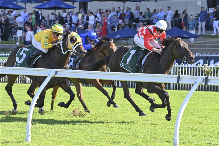 ORCHESTRAL winning the Vinery Stud Stakes at Rosehill in Australia.