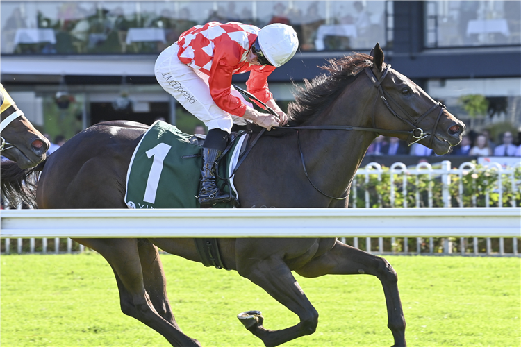 ORCHESTRAL winning the Vinery Stud Stakes at Rosehill in Australia.