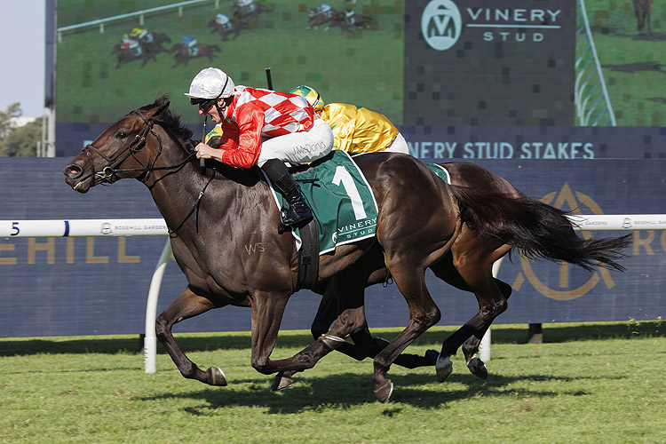 ORCHESTRAL winning the VINERY STUD STAKES