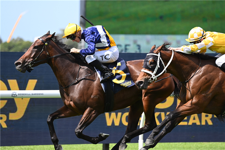 OSMOSE winning the Bisley Workwear Epona Stakes in at Rosehill in Australia.