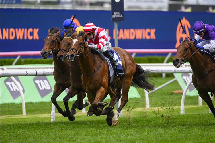 OSTRAKA winning the SILVER EAGLE at Randwick in Australia.