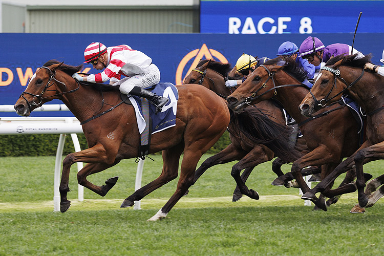 OSTRAKA winning the SILVER EAGLE at Randwick in Australia.