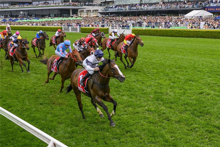 OVERPASS winning the TOYOTA FORKLIFTS SYDNEY STAKES at Randwick in Australia.