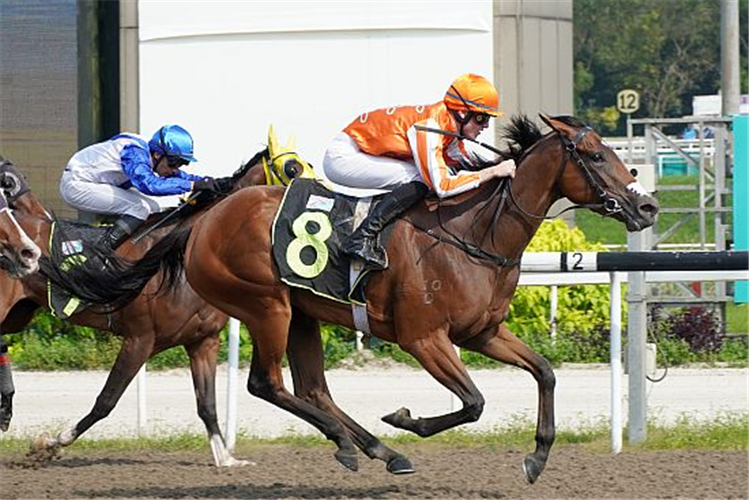 PACIFIC BEAUTY winning the MARTIN 2013 STAKES CLASS 5