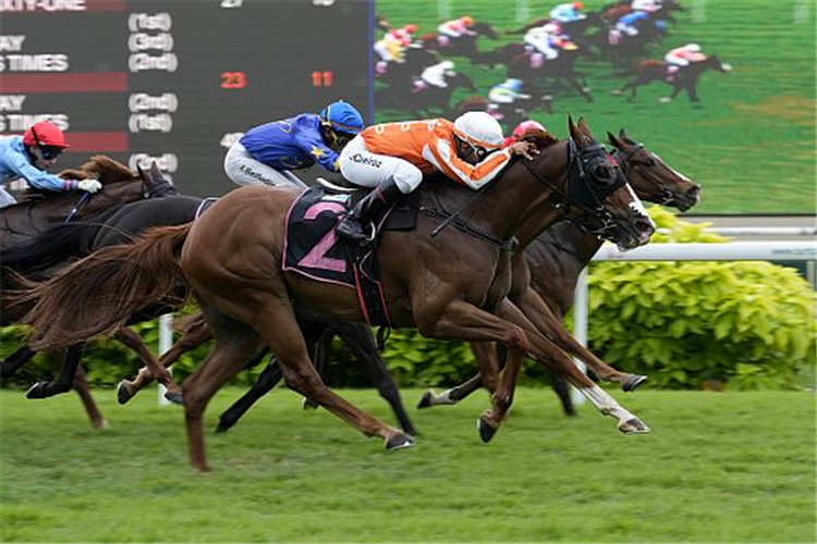 PACIFIC PADRINO winning the ROCKET MAN CUP CLASS 4