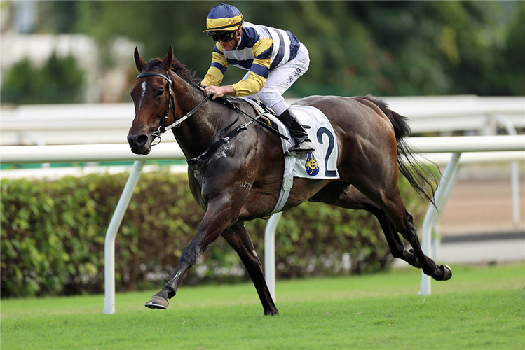 PACKING HERMOD winning the THE SHARED PROSPERITY 1200M HANDICAP