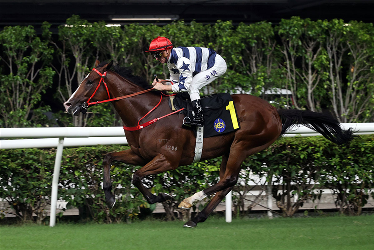 PACKING POWER winning the SHEK O HANDICAP