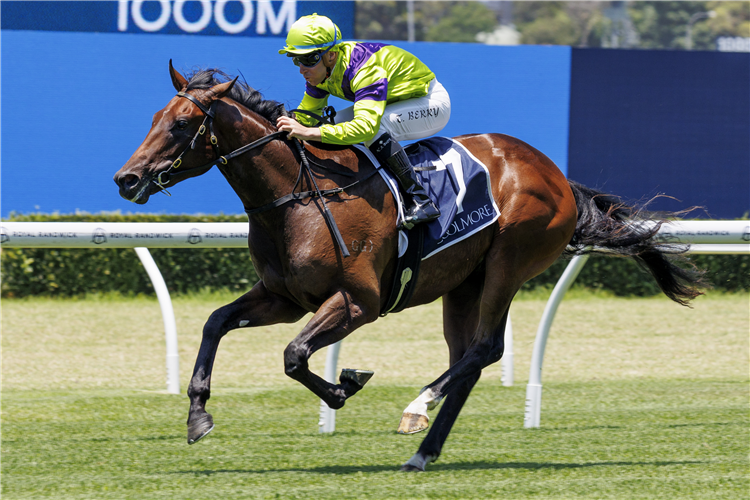 PALLATON winning the Shinzo @ Coolmore Plate at Randwick in Australia.