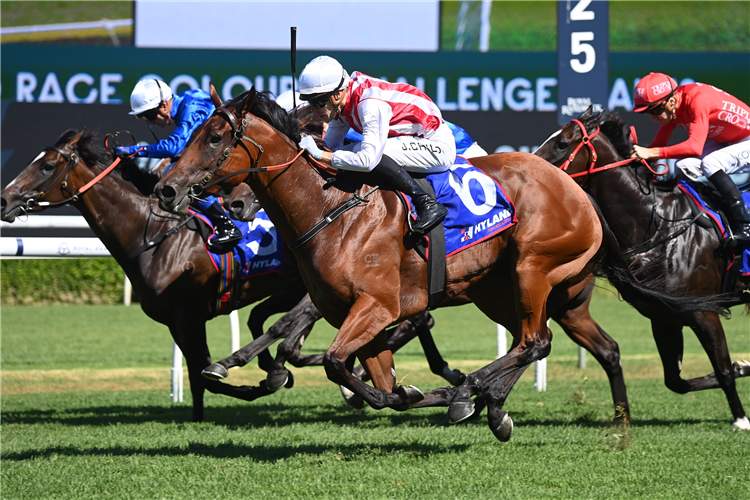 PASSIVE AGGRESSIVE winning the HYLAND RACE COLOURS CHALLENGE STAKES [GROUP 2 at Randwick in Australia.