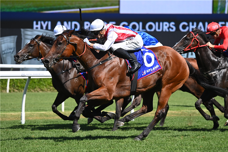PASSIVE AGGRESSIVE winning the HYLAND RACE COLOURS CHALLENGE STAKES [GROUP 2 at Randwick in Australia.