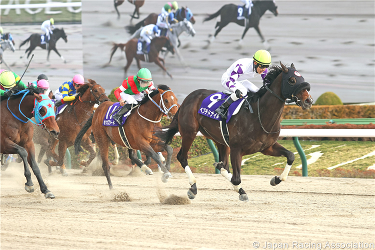 PEPTIDE NILE winning the February Stakes at Tokyo in Japan.