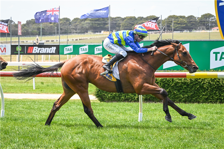 PERFECT EXCUSE winning the Jericho Cup Selling Fast 3YO Maiden Plate in Warrnambool, Australia.