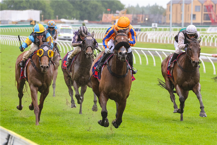 PERFECT SCENARIO winning the TAB MILE TRIAL