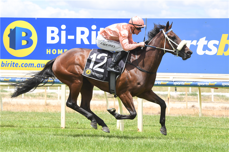 PERSIAN CAVIAR winning the Worklocker Wangaratta 3YO Maiden Plate at Wangaratta in Australia.