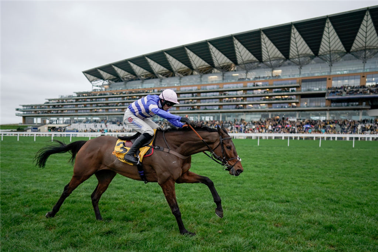 PIC D'ORHY winning the Ascot Chase at Ascot in England.