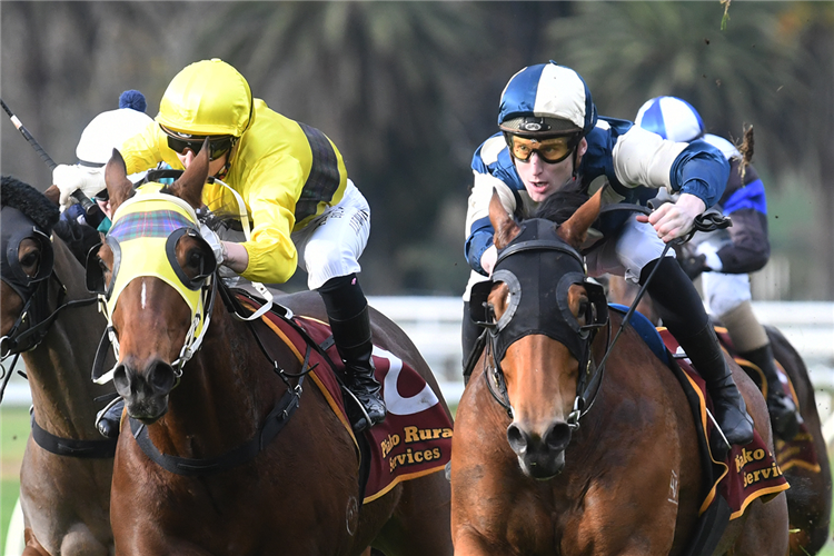 PIER (outside) winning the TE AROHA VETERINARY SERVICES BIG DAY OUT