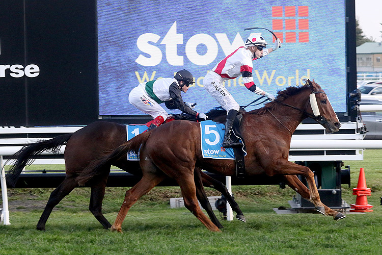 PINSTRIPED winning the Stow Storage Memsie Stakes