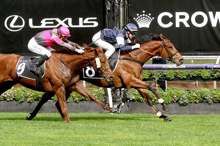 POINT KING winning the Archer Stakes at Flemington in Australia.