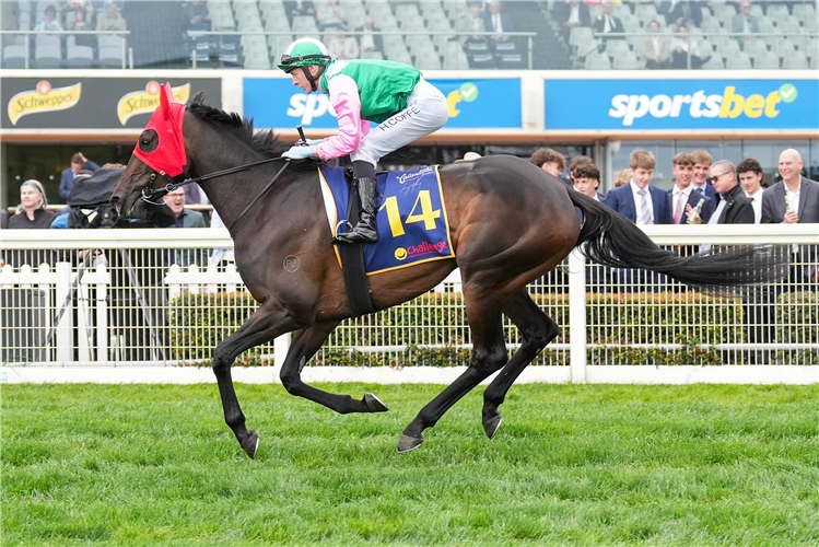 POSITIVITY winning the Catanach's Jewellers MRC Foundation Cup at Caulfieldin in Australia.