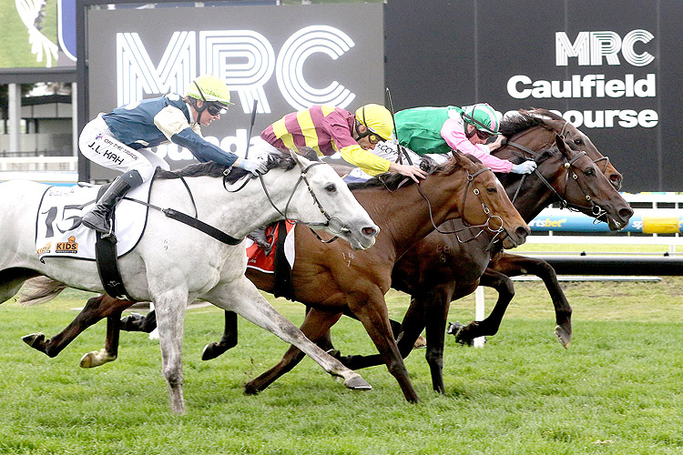 POSITIVITY winning the Catanach's Jewellers MRC Foundation Cup