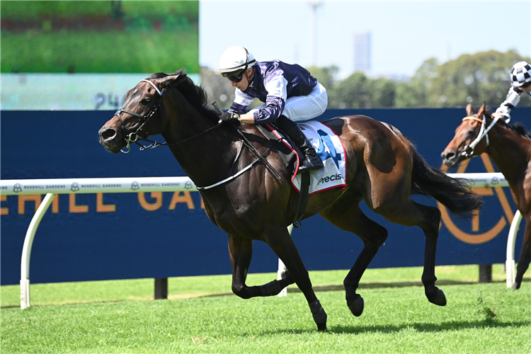 Post Impressionist winning the G3 Manion Cup at Rosehill in Australia.