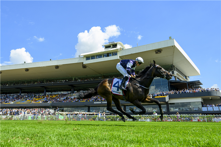 POST IMPRESSIONIST winning the Precise Air N E Manion Cup at Rosehill in Australia.