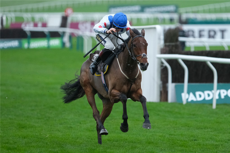 POTTERS CHARM winning the Albert Bartlett Novices' Hurdle at Cheltenham in England.