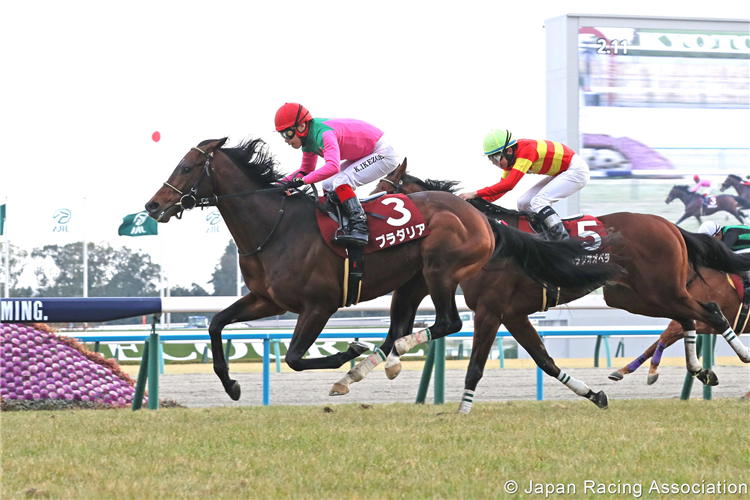 PRADARIA winning the Kyoto Kinen at Kyoto in Japan.