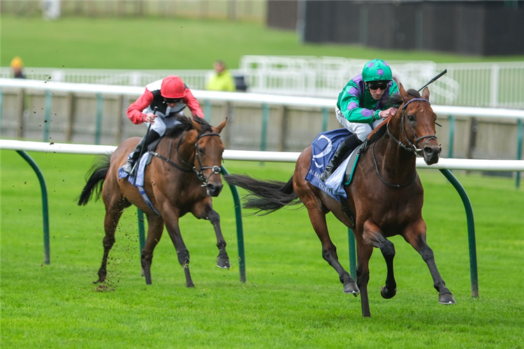 PRAGUE winning the Joel Stakes at Newmarket in England.