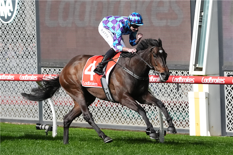 PRIDE OF JENNI winning the Ladbrokes Feehan Stakes at Moonee Valley in Moonee Ponds, Australia.