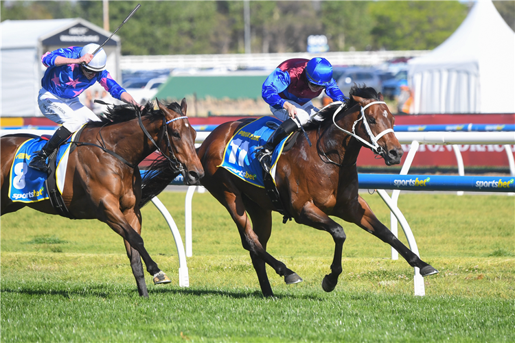 PRIVATE LIFE winning the Sportsbet Caulfield Guineas at Caulfield in Australia.