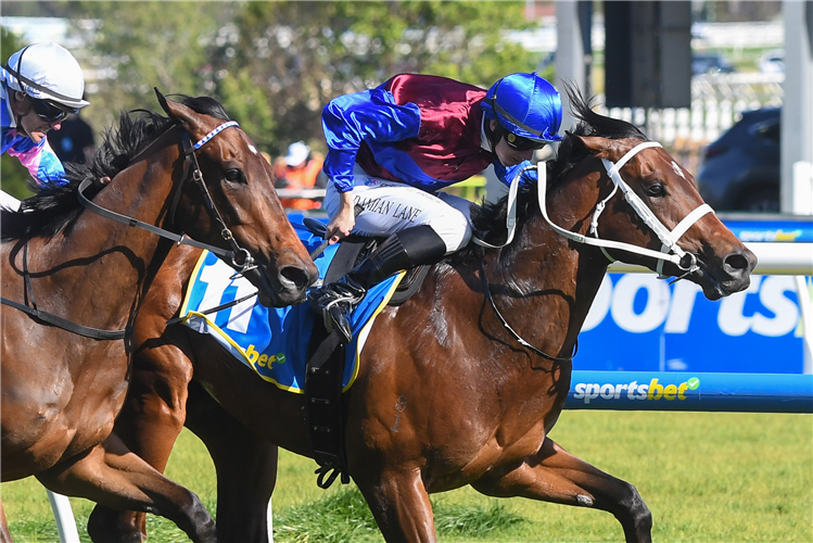 Private Life won the Guineas.