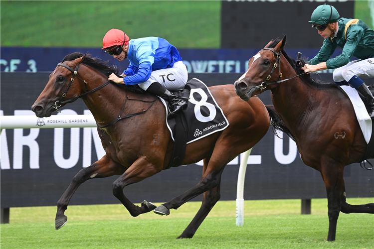 Prost winning the Arrowfield Canonbury Stakes at Rosehill in Australia.