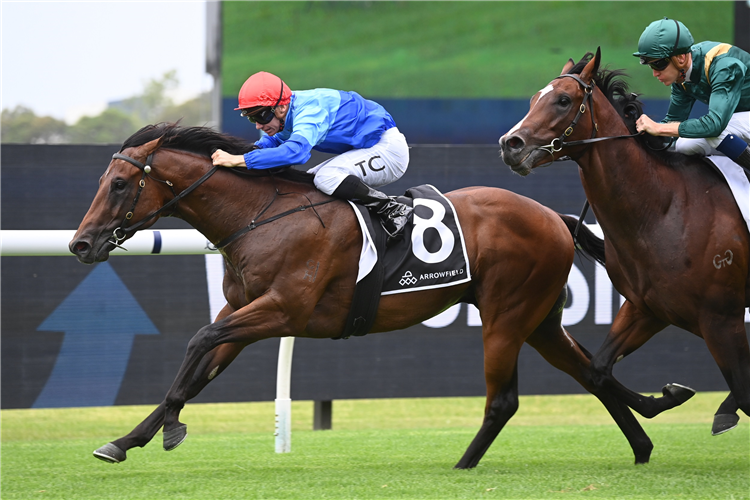 PROST winning the Canonbury Stakes at Rosehill in Australia.