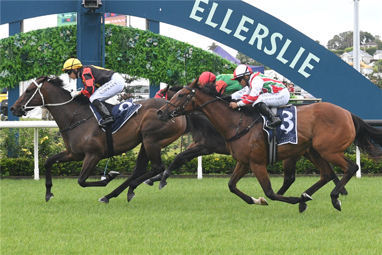 PROVENCE winning the WESTBURY STUD ROYAL DESCENT STAKES