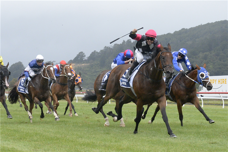 PUNTURA winning the HARCOURTS TEAM GROUP THORNDON MILE