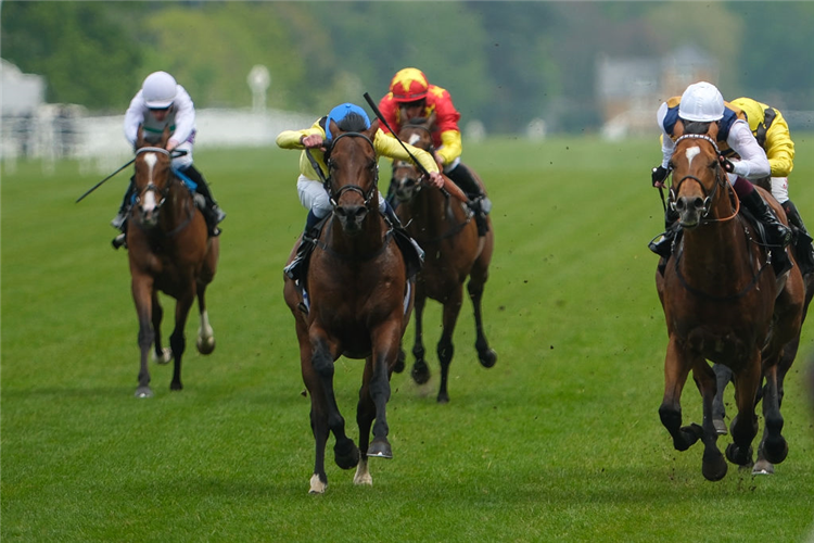 QUDDWAH (centre, blue cap) winning the Paradise Stakes at Ascot in England.