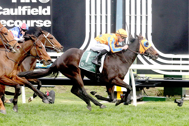 QUINTESSA winning the Tobin Brothers Cockram Stakes