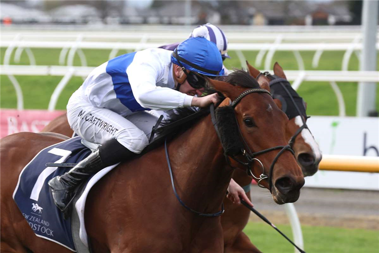 RAZIAH winning the NEW ZEALAND BLOODSTOCK CANTERBURY BELLE STAKES