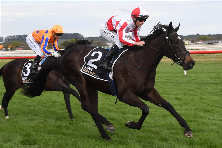 READ ABOUT IT winning the HS DYKE WANGANUI GUINEAS