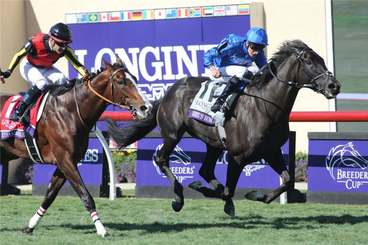 REBEL'S ROMANCE winning the Breeders' Cup Turf at Del Mar in California.