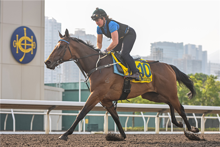 Recommendation works at Sha Tin