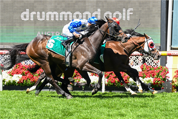 RED ACES winning the Golf Vase at Moonee Valley in Australia.