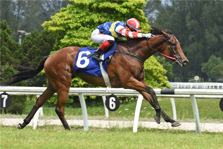 RED DRAGONFLY winning the Dec 08 2024 Selangor Meeting Race 3 (1102)