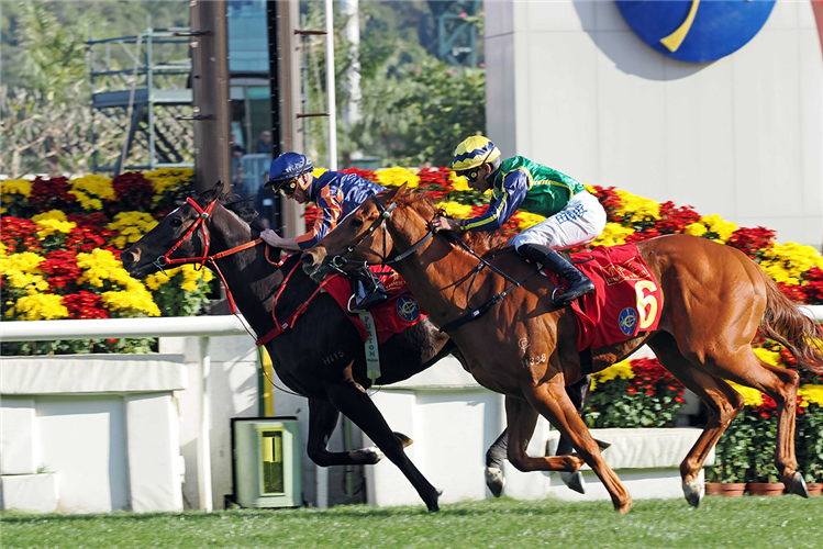 RED LION winning the THE CHINESE NEW YEAR CUP (HANDICAP)
