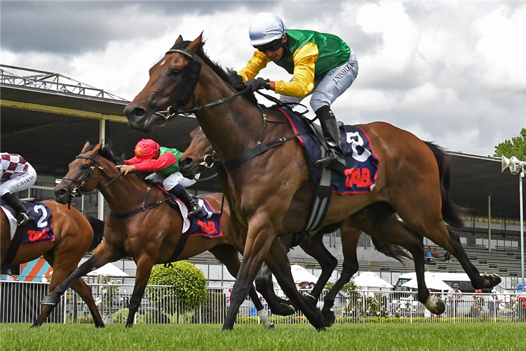 REPUTATION winning the MAVEN WAIKATO