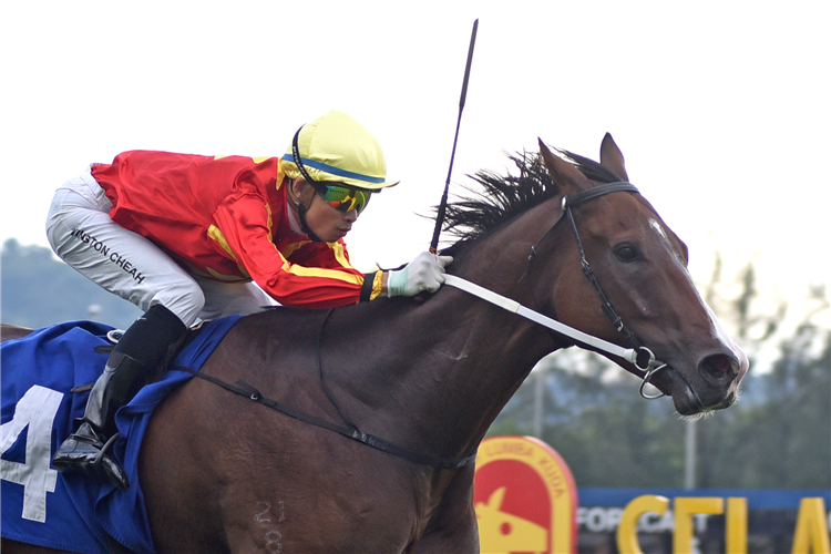 REVUE winning the Nov 24 2024 Selangor Meeting Race 7 (1077)