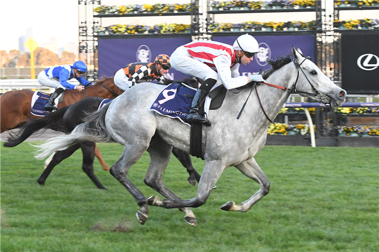 RIGHT TO PARTY winning the Creswick Sprint Series Final at Flemington in Australia.