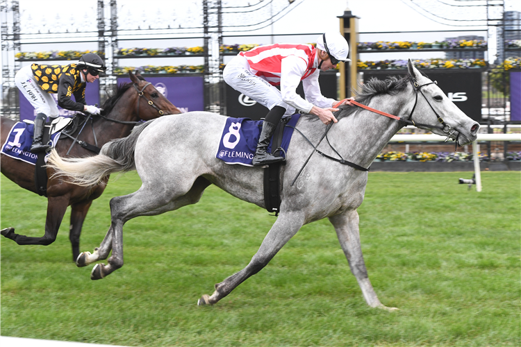 RIGHT TO PARTY winning the Aurie's Star Handicap at Flemington in Australia.